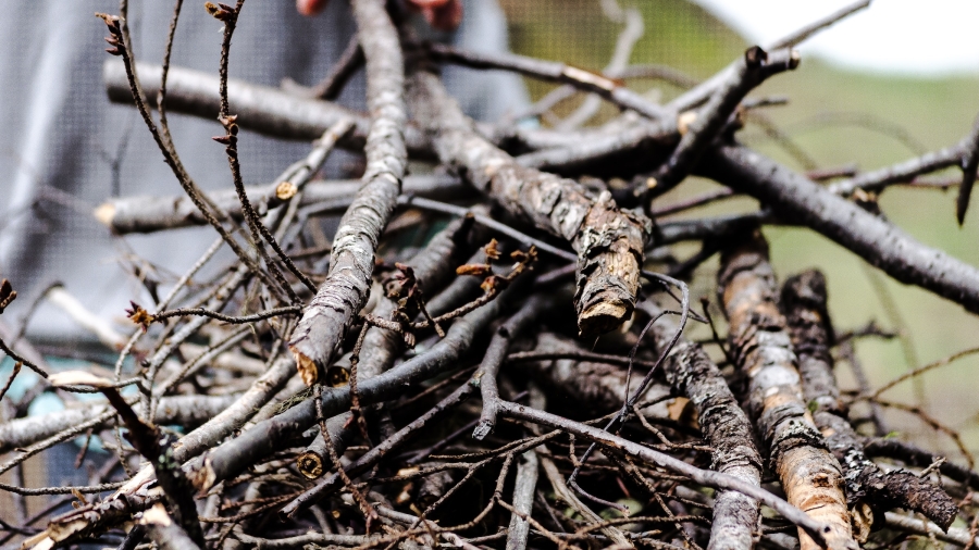 alison-dueck-_tMj81GDJ-E-unsplash