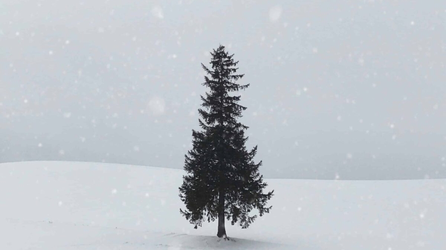 seoyeon-choi-UyoJIy0D-5c-unsplash