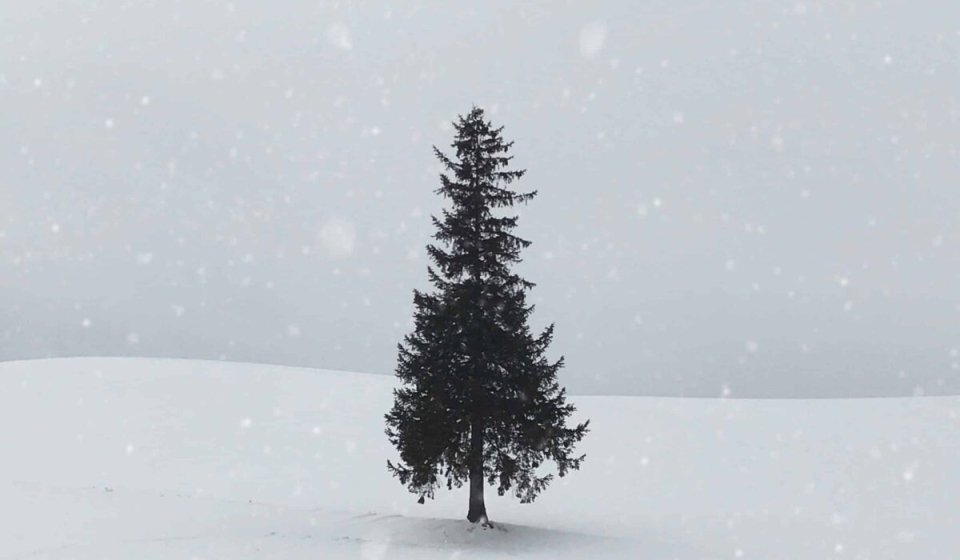 seoyeon-choi-UyoJIy0D-5c-unsplash